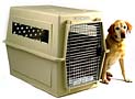 dog carrier
